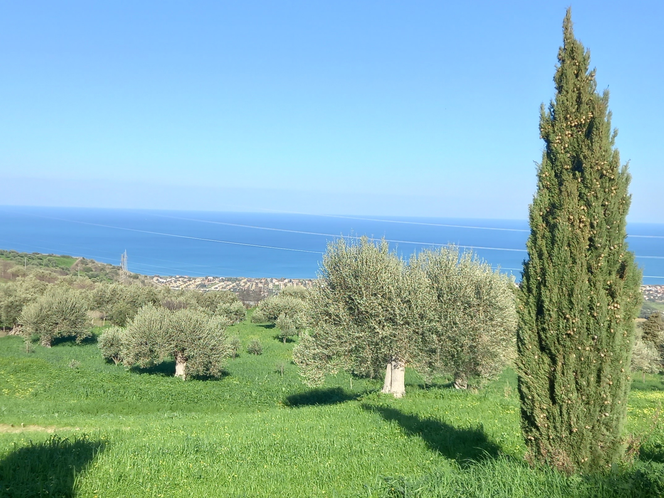 ecco ove nasce il nostro olio extravergine ...
